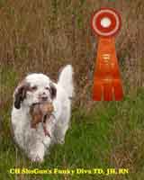 Diva new Junior Hunter